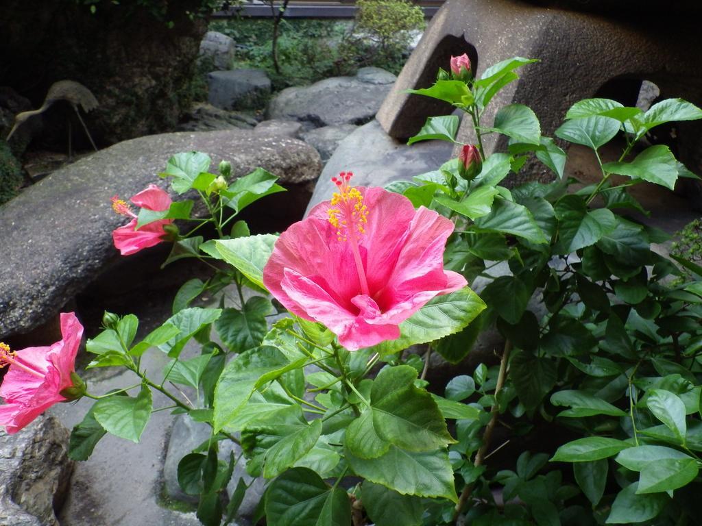 Uokagi Ryokan นาโกย่า ภายนอก รูปภาพ